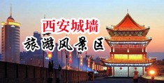 国内大吊操逼视频我中国陕西-西安城墙旅游风景区
