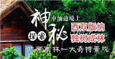 美女日批视频完整版
