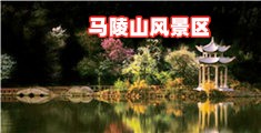 美女逼免费看